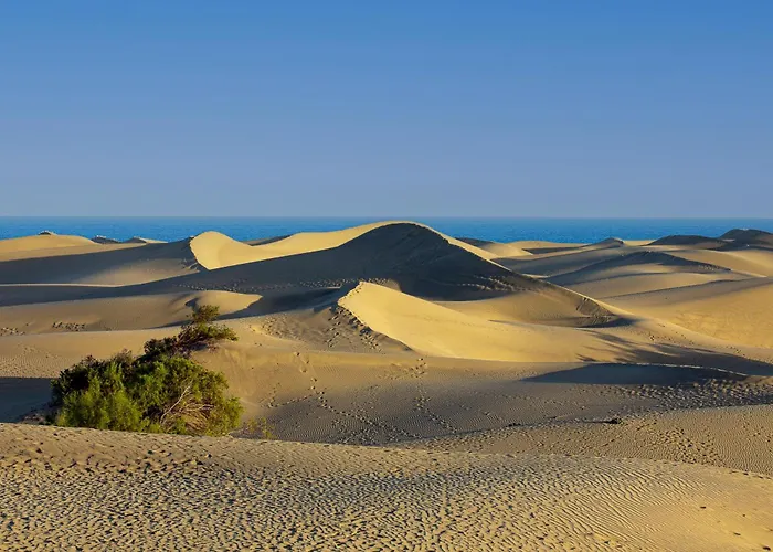 Yumbo Center 1 Bedroom Apartment